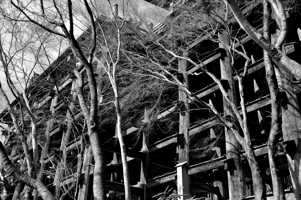 Building 1