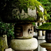 苔生す