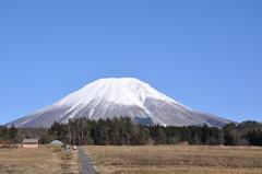 大山の雪化粧