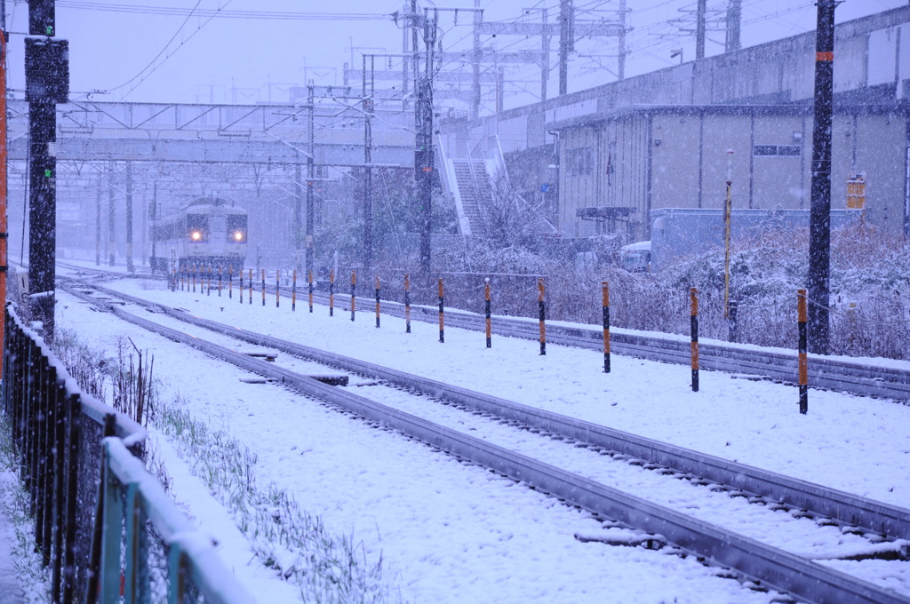 起きたら雪景色