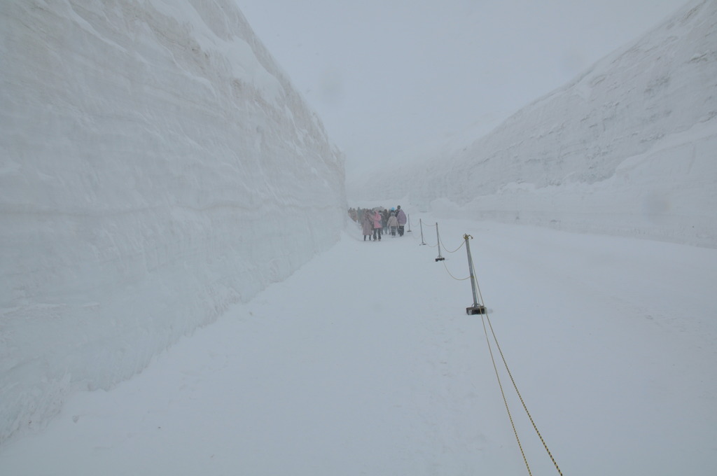 立山アルペンルート　雪の大谷ウォーク