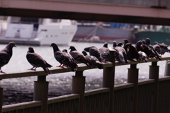 河辺の公園#3