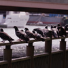 河辺の公園#3