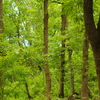 昆陽池公園#1