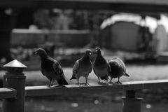 河辺の公園#1