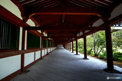 東大寺