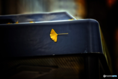 電話ボックス～