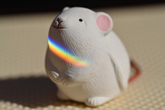 虹b
