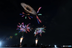 なにわ淀川花火大会~