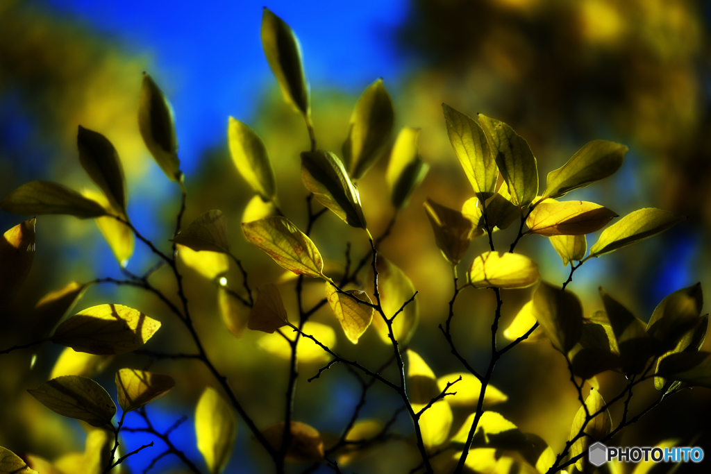 change color