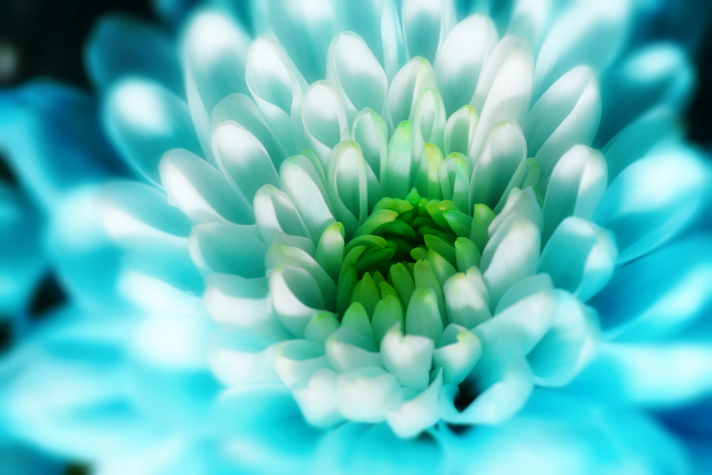 soft light