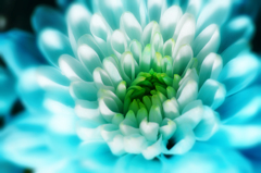 soft light