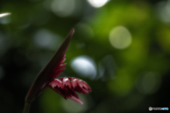 °。