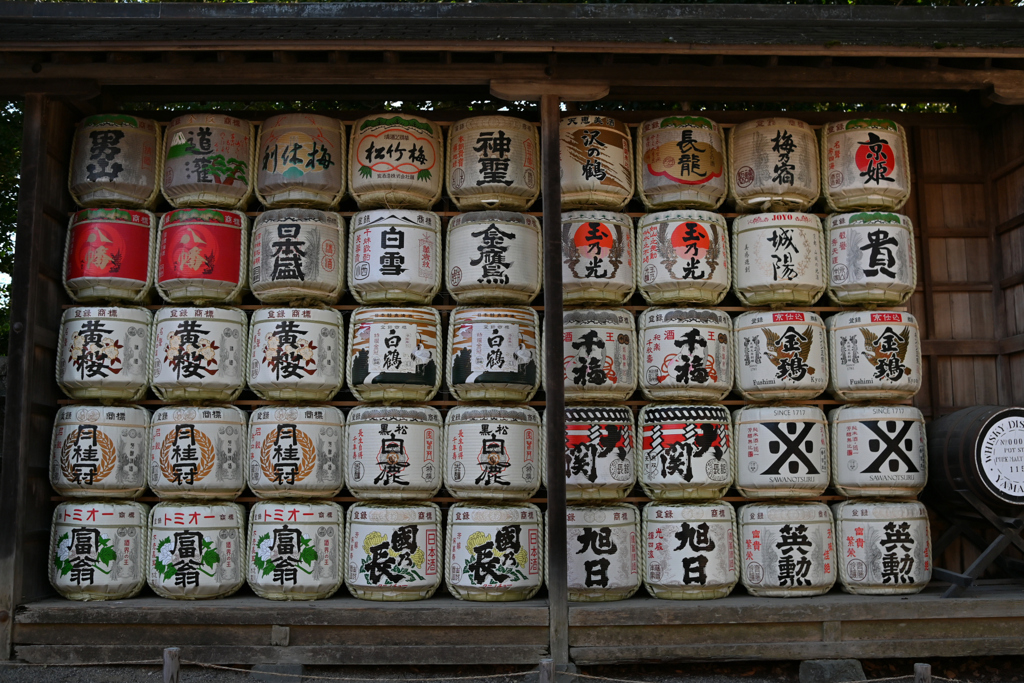 酒樽