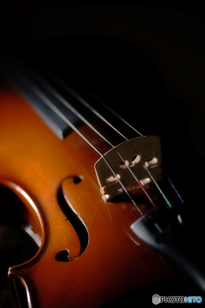 ヴァイオリン 