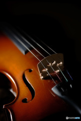 ヴァイオリン 