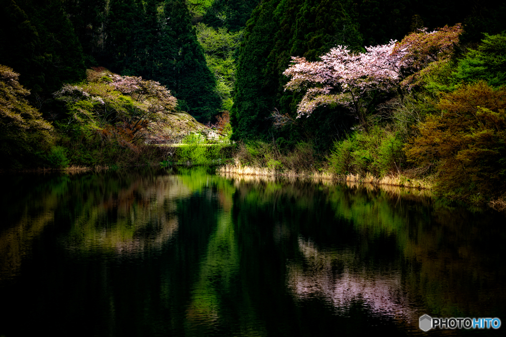 Water Reflections