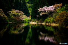 Water Reflections