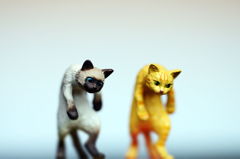 猫背