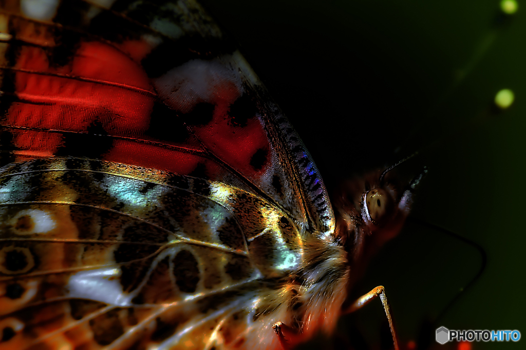 ~MACRO~