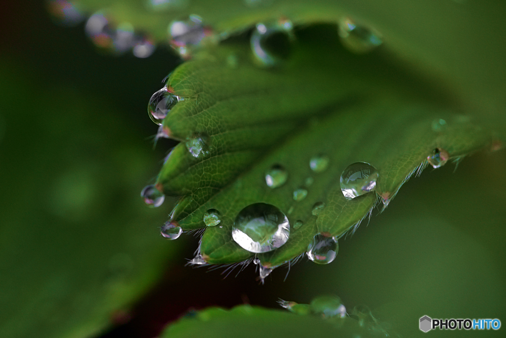 雨粒。。