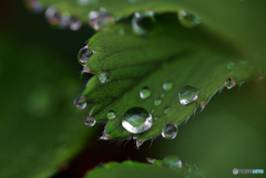 雨粒。。