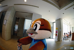 もずやん