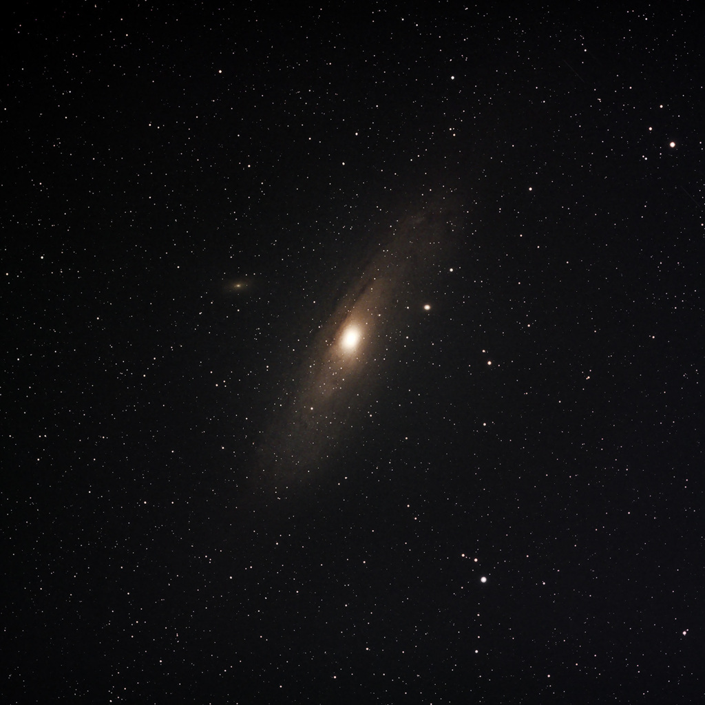M 31