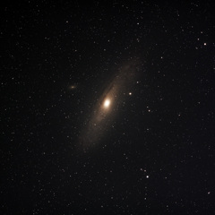 M 31
