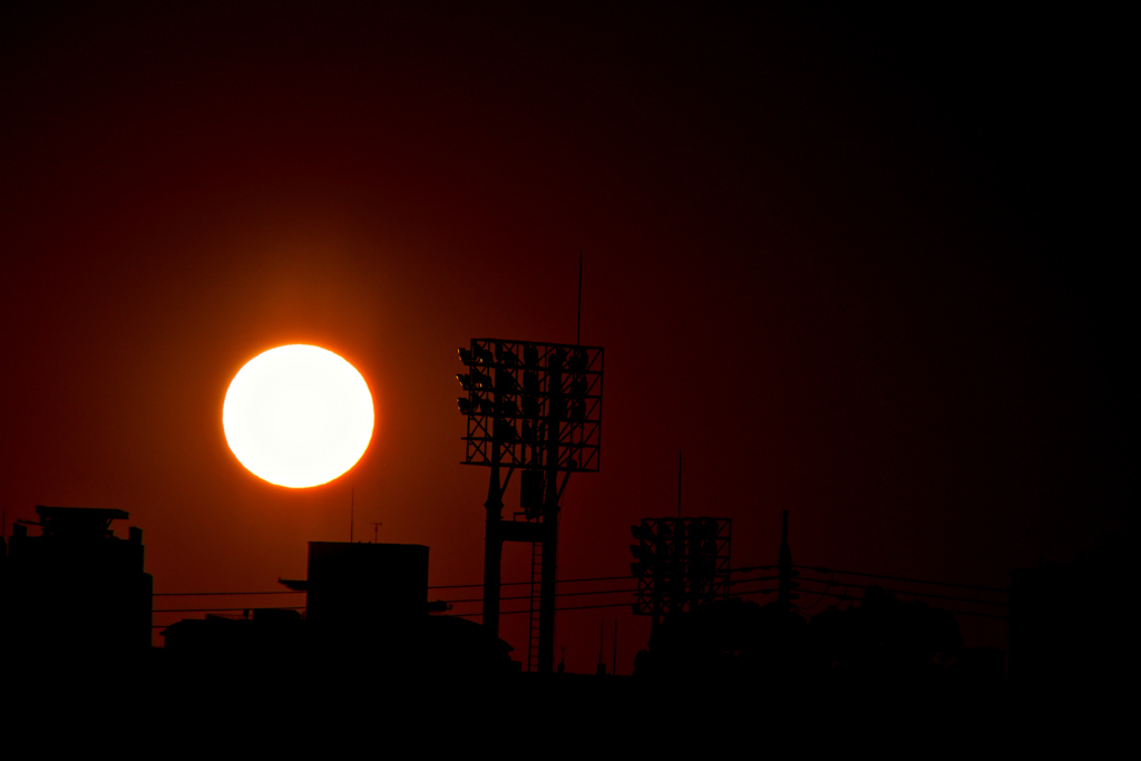 DSC_夕日