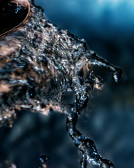 splash!