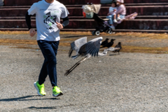 たまたま撮れて