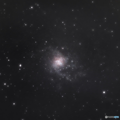 M74