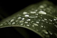 °雨粒
