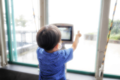 台風～