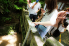 身代わりどじょう。