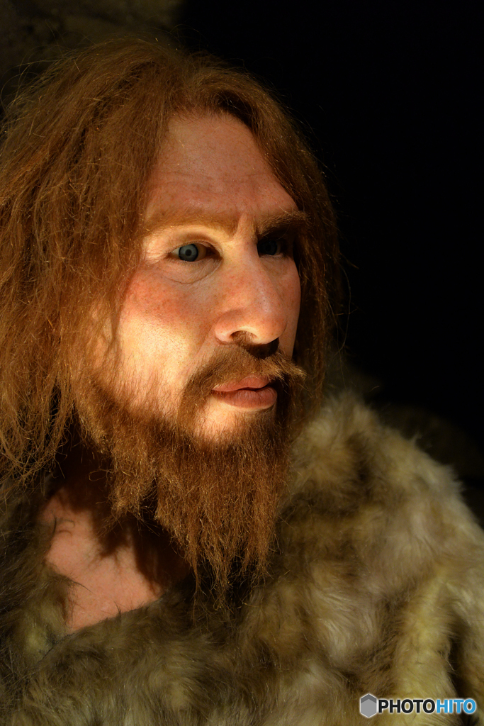 ネアンデルタール人