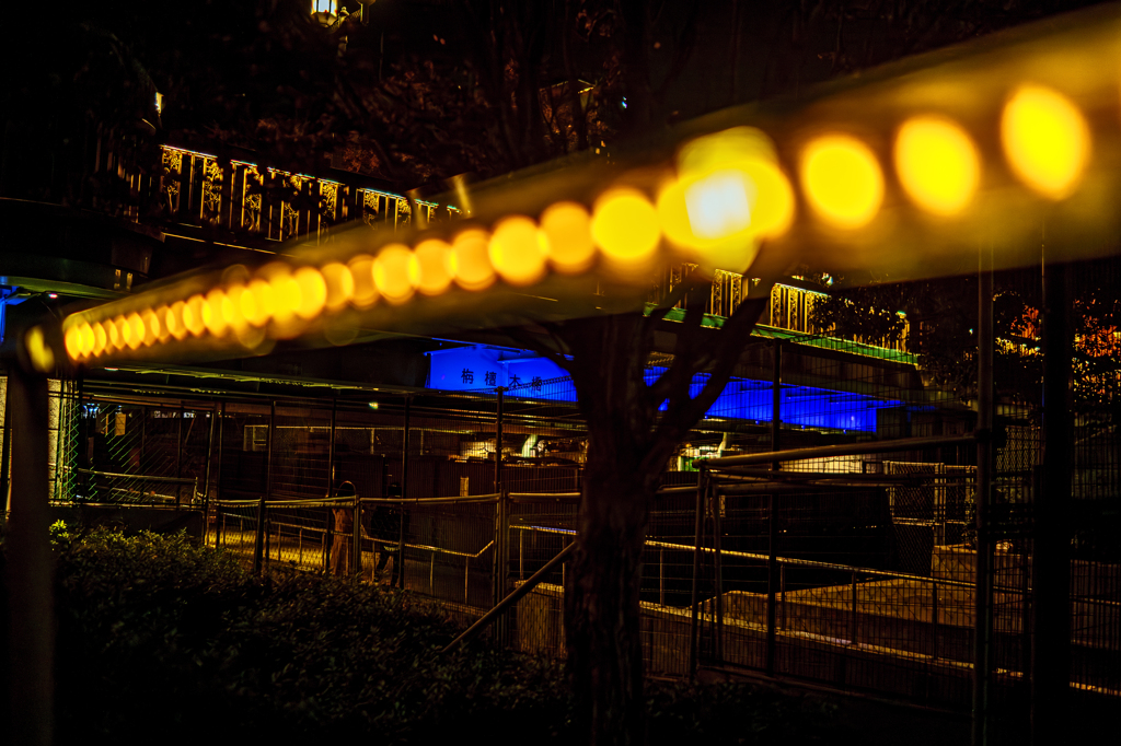 夜景ⅰ