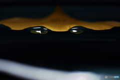 °°