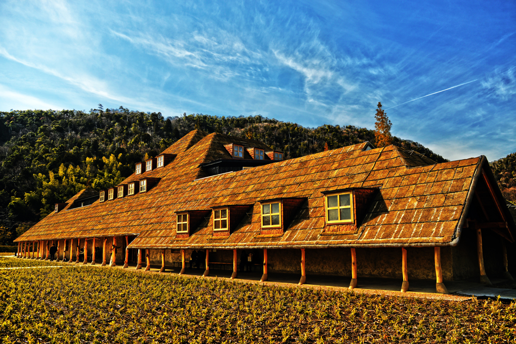 ラ コリーナ近江八幡