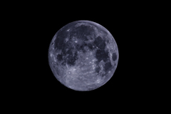 コールドムーン