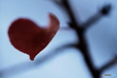 ♥