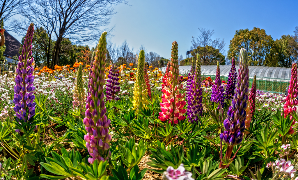 spring colors
