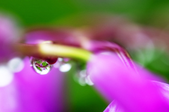 雨粒₂