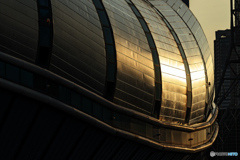 ~DOME~