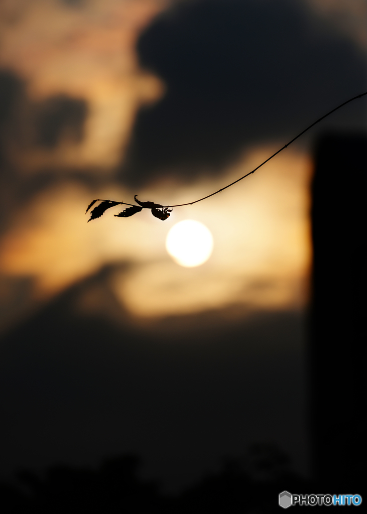 ～☀
