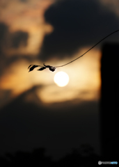 ～☀