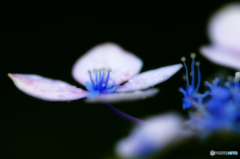 雨..