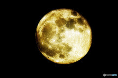  Gold Moon