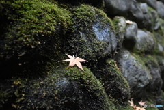 ☆